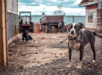 From Rooftop to Rescued
